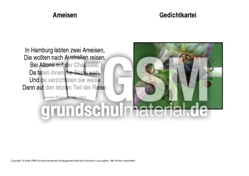 Ameisen-Ringelnatz.pdf